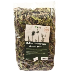 TIVO Babka Lancetowata 600g